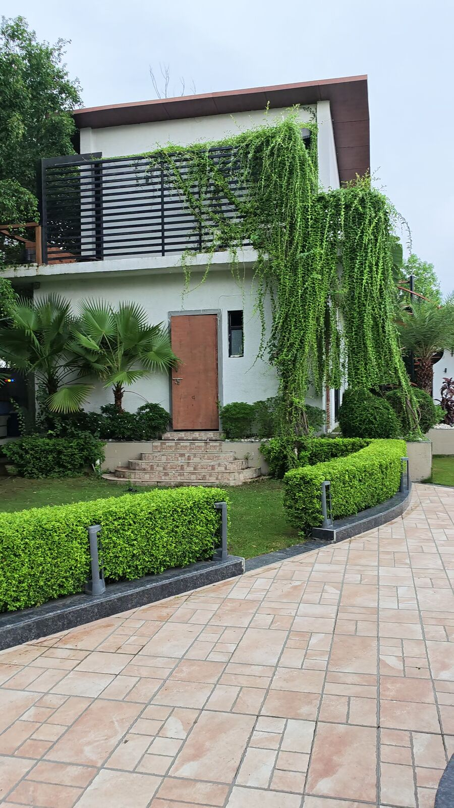 Villa entrance framed by weeping greenery and clipped hedges